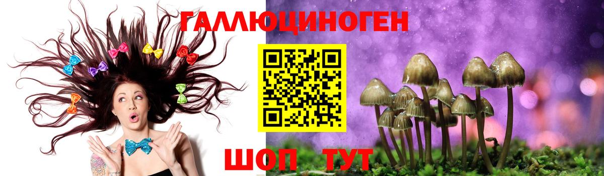 Галлюциногенные грибы Magic Shrooms  Псилоцибиновые грибы Psilocybe  Узловая  Вход с VPN 